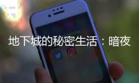地下城的秘密生活：暗夜中的光明与阴影