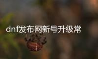 dnf发布网新号升级常见问题解答