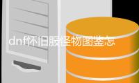 dnf怀旧服怪物图鉴怎么快速升级？